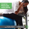 image:imageGaiam Balance Ball Kit AntiBurst Stability Ball with Pump  55cm AntiBurst Ball  Textured Grip Surface  Air Pump Included  Core amp Stability Training  Home UseBlue