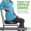 image:imageGaiam Balance Disc Wobble Cushion 16 Core Stability Seat  16 Diameter  Home amp Office Chair Use  Kids Wiggle Seat  Core Stability Training  NonSlip BaseBlack