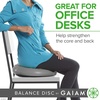 image:imageGaiam Balance Disc Wobble Cushion 16 Core Stability Seat  16 Diameter  Home amp Office Chair Use  Kids Wiggle Seat  Core Stability Training  NonSlip BaseGrey