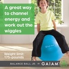 image:imageGaiam Kids Balance Ball Chair Active Seating Metal Frame BlueGreen  52cm AntiBurst Stability Ball  Core Engagement While Sitting  Pump Included  Home amp Office Desk Use  Active SeatingBlueGreen