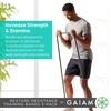 image:imageGaiam Restore Resistance Training Workout Pull Up Bands 3 Pack  ExtraStrong Durable Progressive Resistance Exercise Loop Cords for Assisted Pull Ups and Strength Bands Training