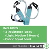 image:imageGaiam Squat Band amp Hip Trainer Set  Fabric Resistance Band with 3 Adjustable Resistance Tubes Home Gym Equipment to Exercise Thigh Leg Hip Glute Booty amp Core  Home Gym amp Travel Workout Bands