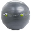 image:imageGaiam Restore SelfGuided Stability Ball 65cm