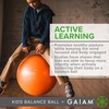 image:imageGaiam Balance Ball Chair